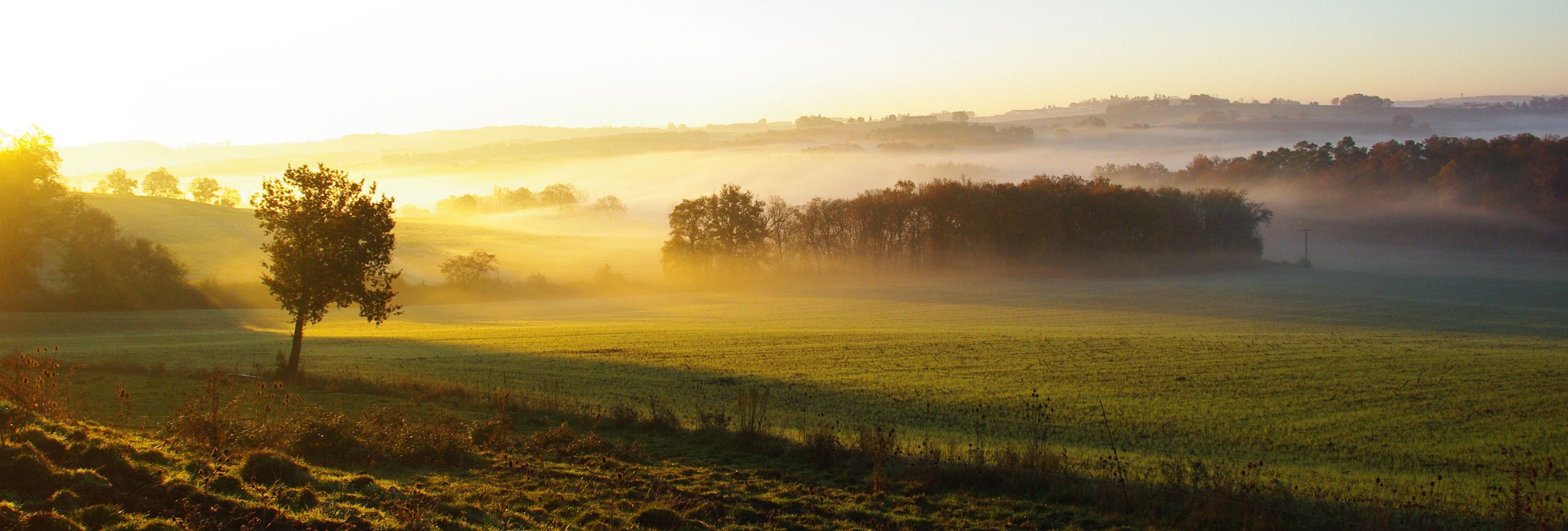 Agrifeel, développeur de terroirs groupe terres du sud