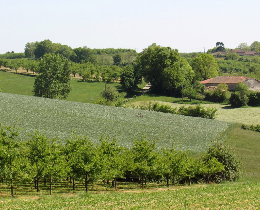 Les valeurs de Terres du Sud, développeur de terroirs