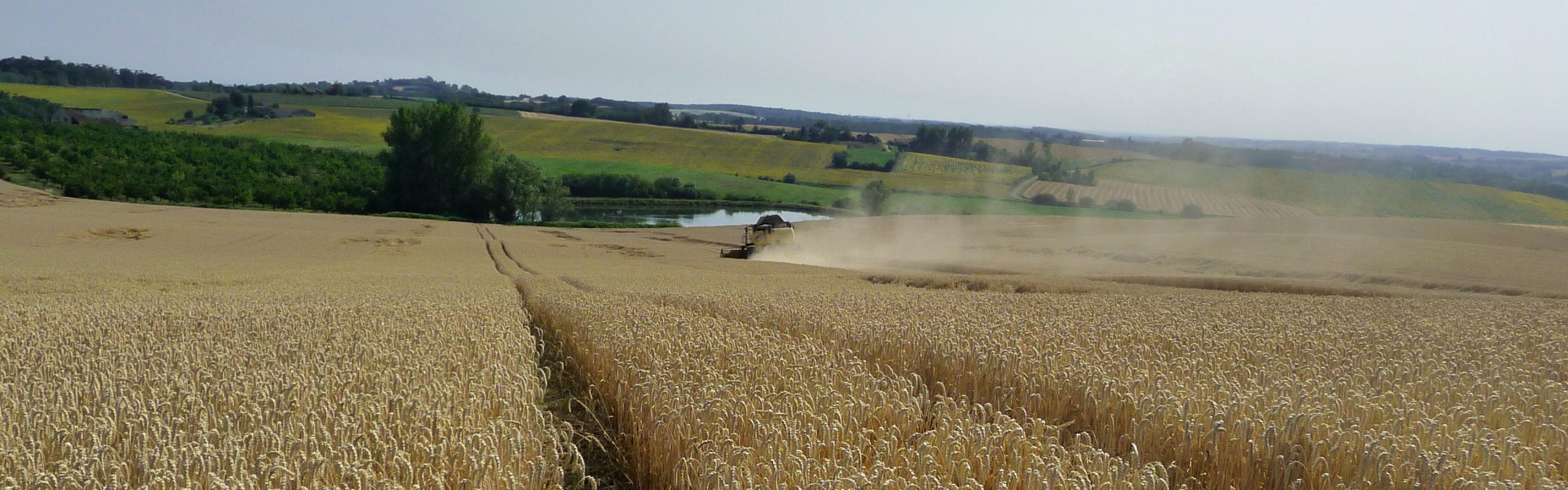 Recolte SDA Négoces avec Agrifeel