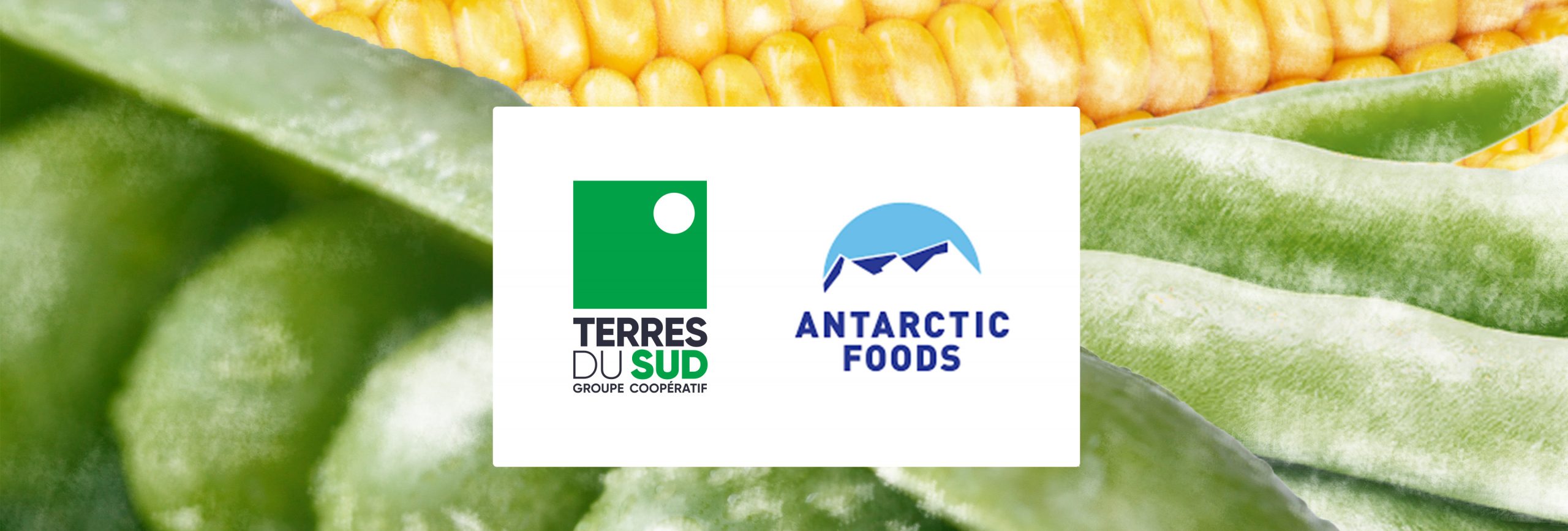 Le groupe Terres du Sud entre au capital d'Antarctic Foods Aquitaine