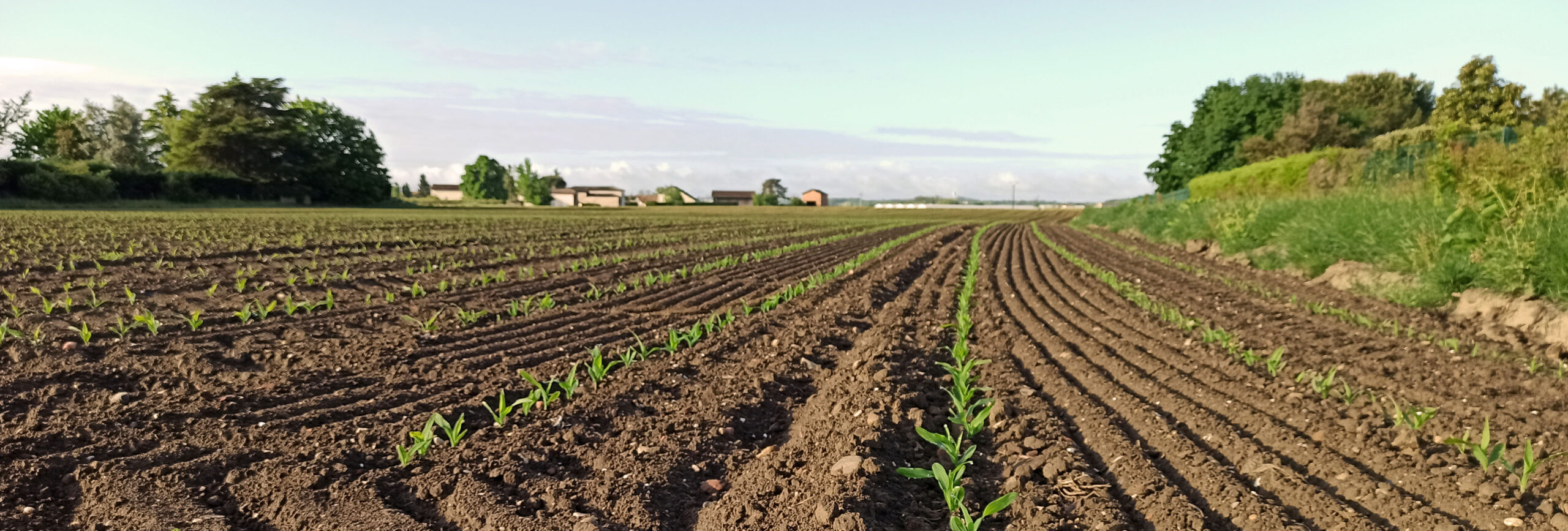 agrifeel au plus pres des exploitations agricoles