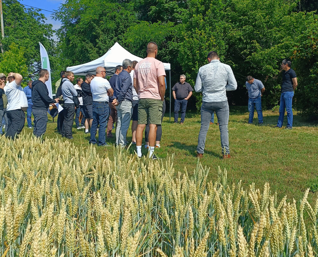 champ route des blés + groupe