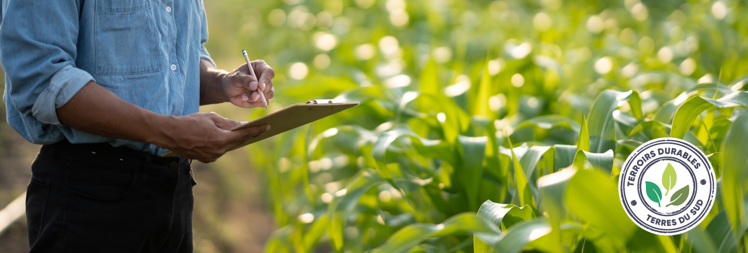 garantir la qualité, la sécurité et la traçabilité des produits groupe terres du sud terroirs durables