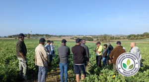 expea groupe terres du sud