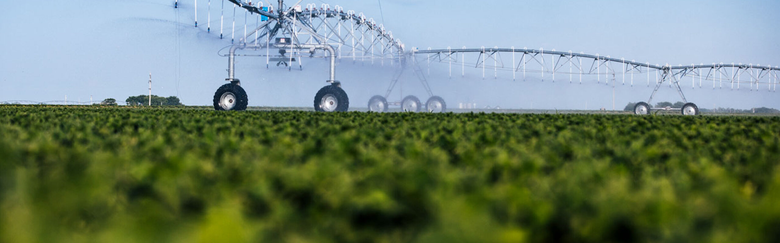 agri 32 delta sud groupe terres du sud