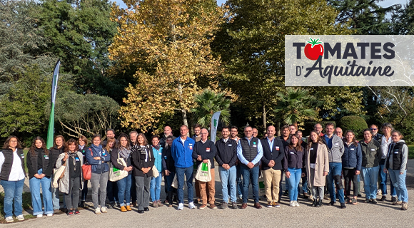 tour tomate terres du sud