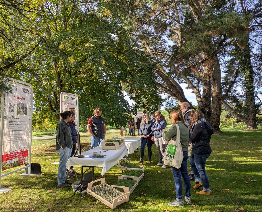 tour tomate terres du sud