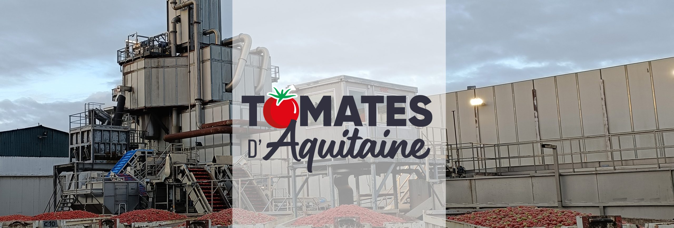 Tomates d'Aquitaine, groupe Terres du Sud