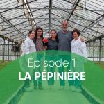 Terres du Sud tour tomate, la pépinière