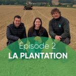 Terres du Sud tour tomate, épisode 2 la plantation