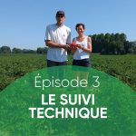 Terres du Sud tour tomate, épisode 3 le suivi technique