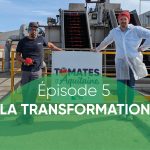 Terres du Sud tour tomate, épisode 5 la transformation